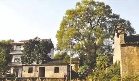 乐平接渡人口_乐平古戏台(3)
