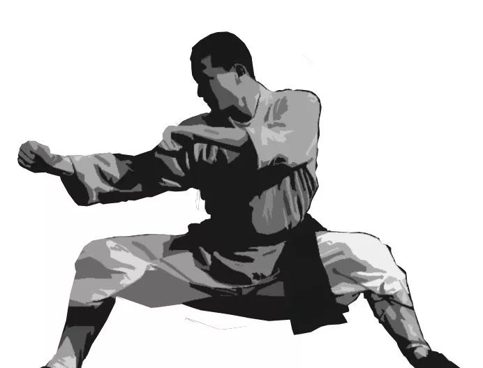 今天让你搞清楚什么是武术?什么是国术?