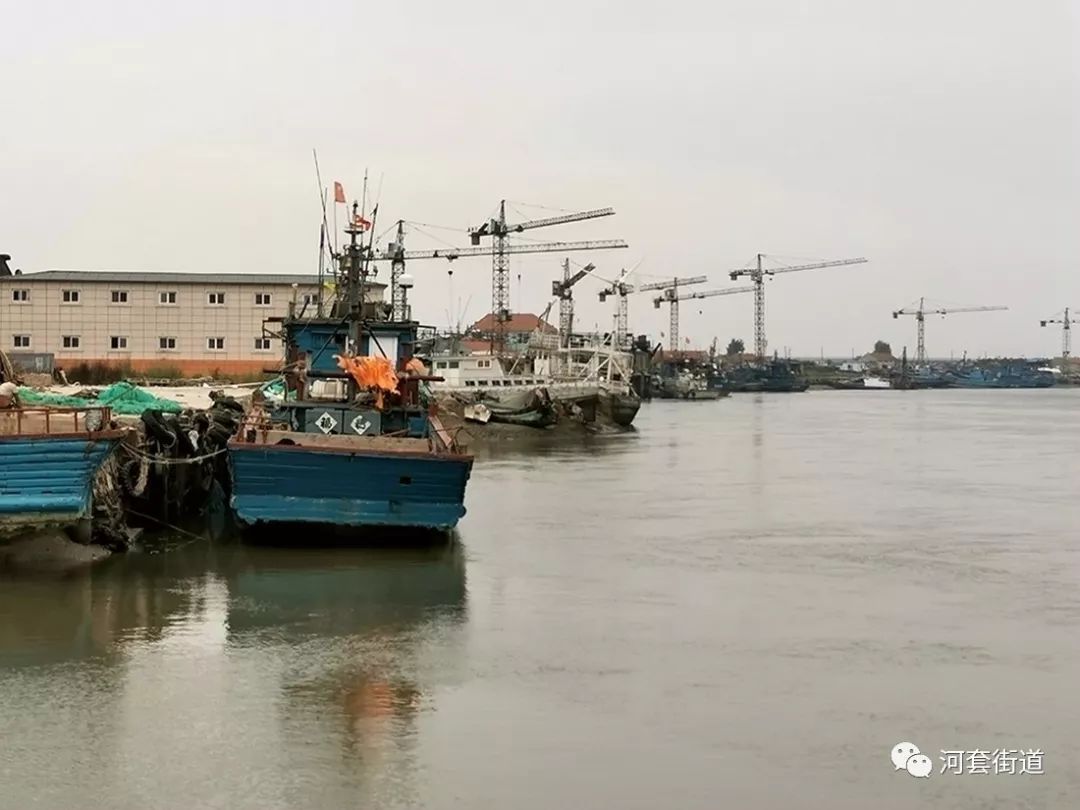 城阳区河套街道人口_城阳区夏庄街道地图