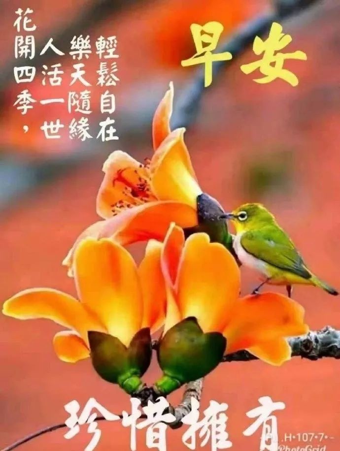 八月十三日问候早上好图片带字动态表情 早上好图片问候祝福语句子