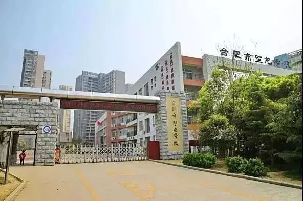 小升初必看合肥琥珀中学教育集团升学信息汇总含三年指标到校数据