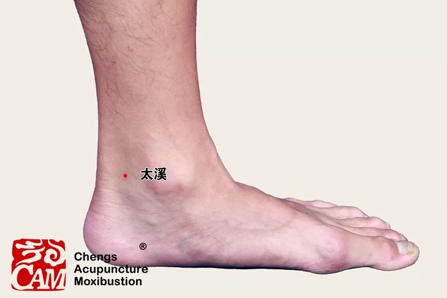 医心方 巻十 積聚・疝か・水腫篇 医心方 巻10 積聚・疝か・水腫篇 | 丹波 康頼, 槙 佐知子 |本
