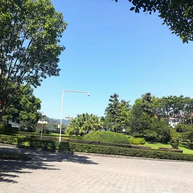 好点的头像图片风景 9f76a4ff40f34c39a5acc9691d2f56fc.jpeg