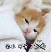                     朋友圈那些身材好的宝妈，都在悄悄做这件事……
