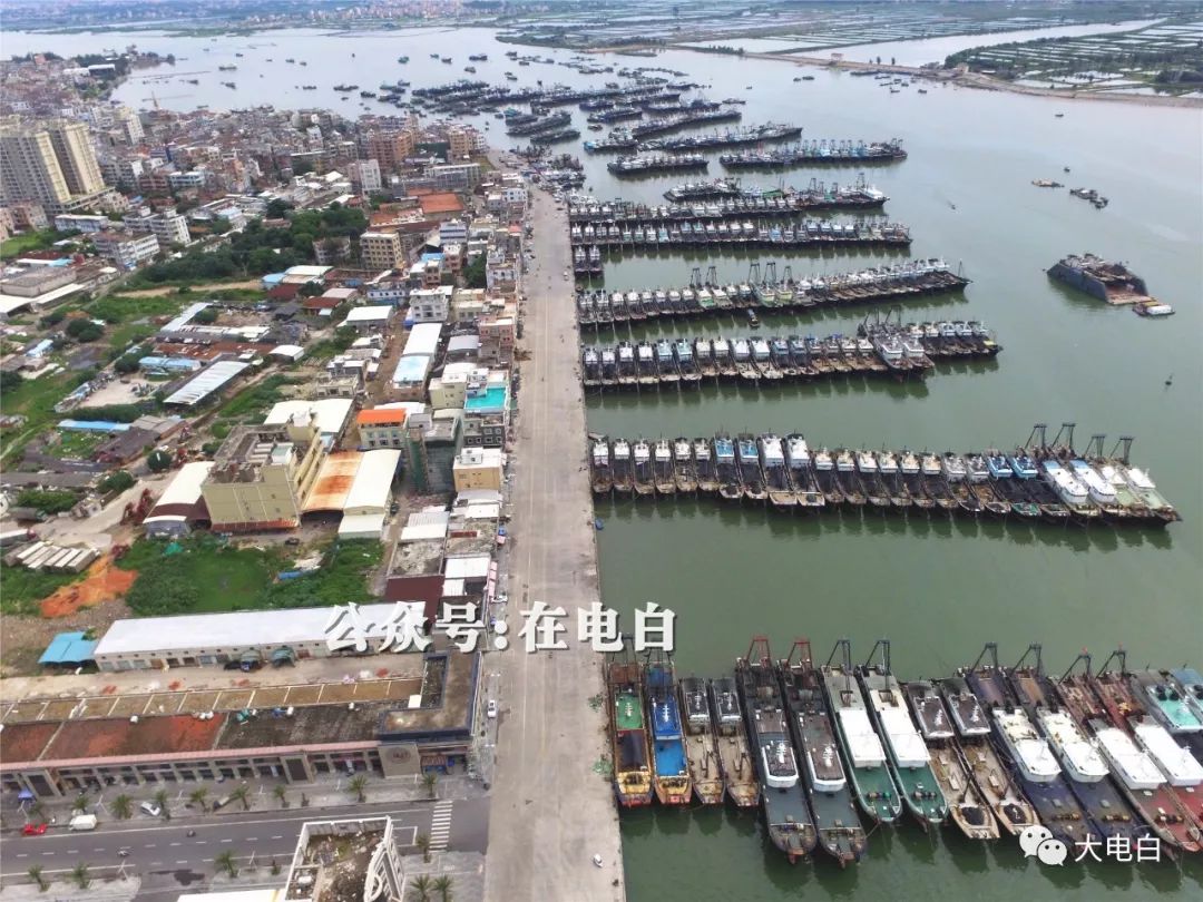 航拍电白博贺湾跨海大桥,国庆前全线通车!_博贺镇