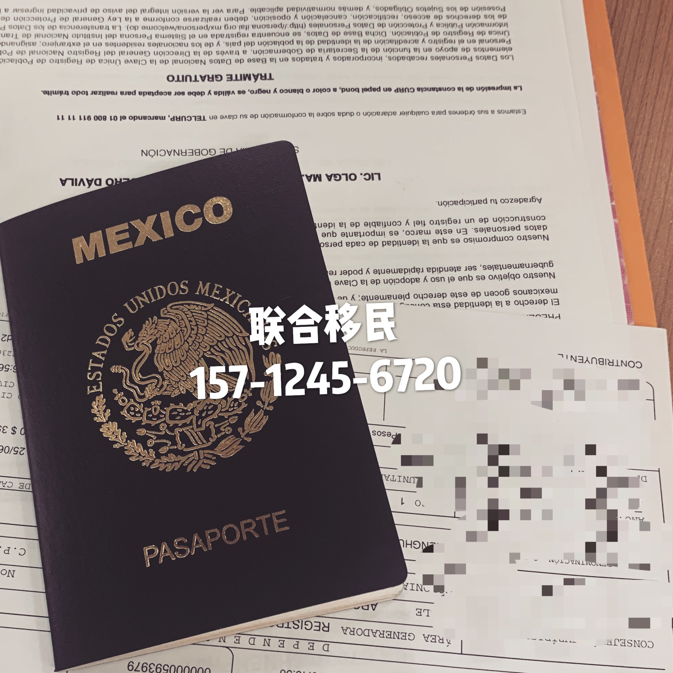 墨西哥签证或持美签入境墨西哥 - 里维埃拉玛雅