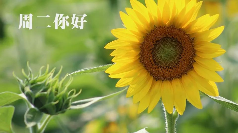 早上好,今天是2019年08月13日,星期二,农历七月十三.