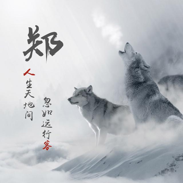 微信头像,姓氏头像,狼图腾精美姓名头像设计,有你喜欢