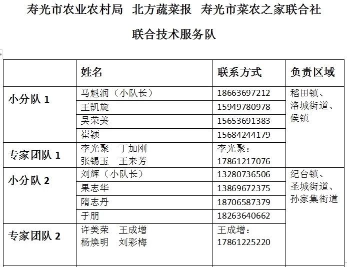 2019年寿光各镇gdp_2012年寿光车展(2)