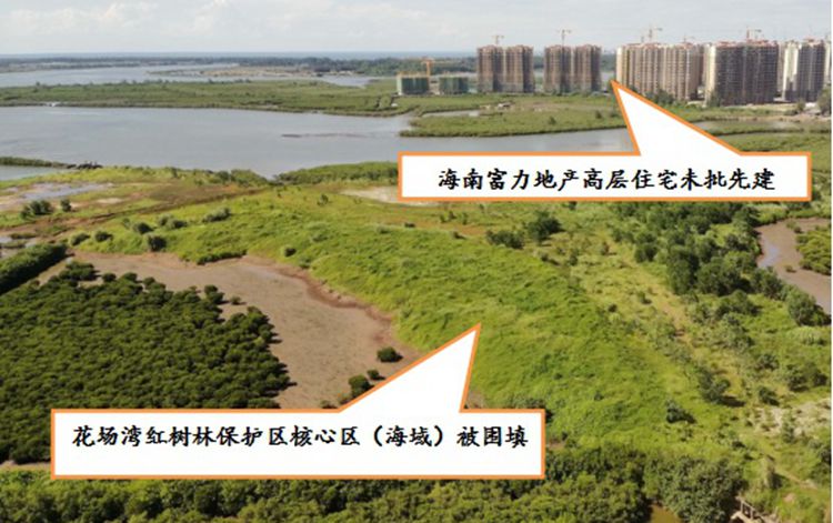 点击图片看原样大小图片