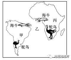 南美人口总和_南美缸造景(3)