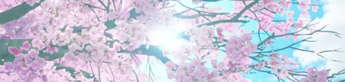 500_120gif 动态图 动图