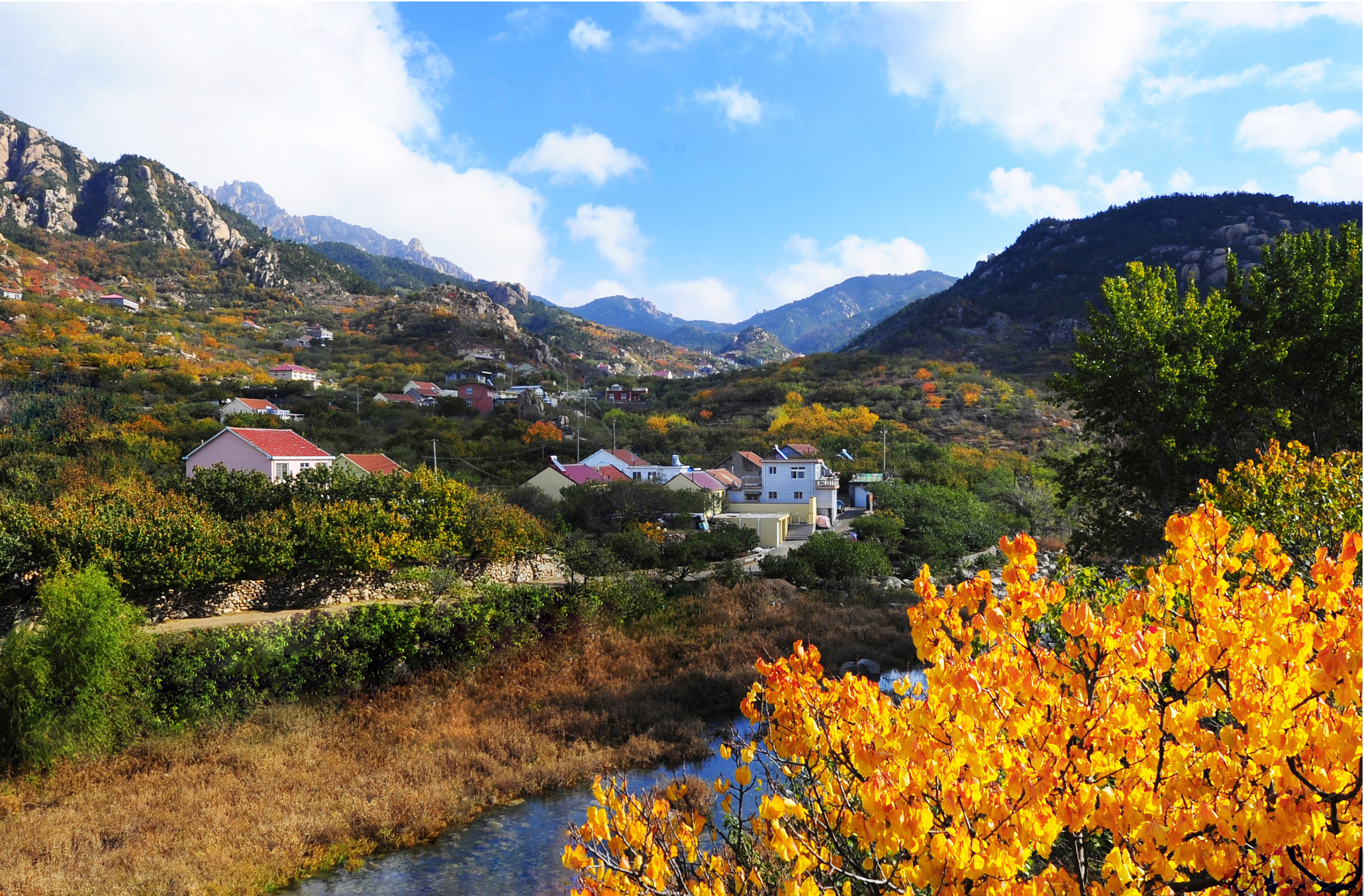 城市的发展活力和魅力,突出展示崂山乡村振兴的美好前景和崂山村落的