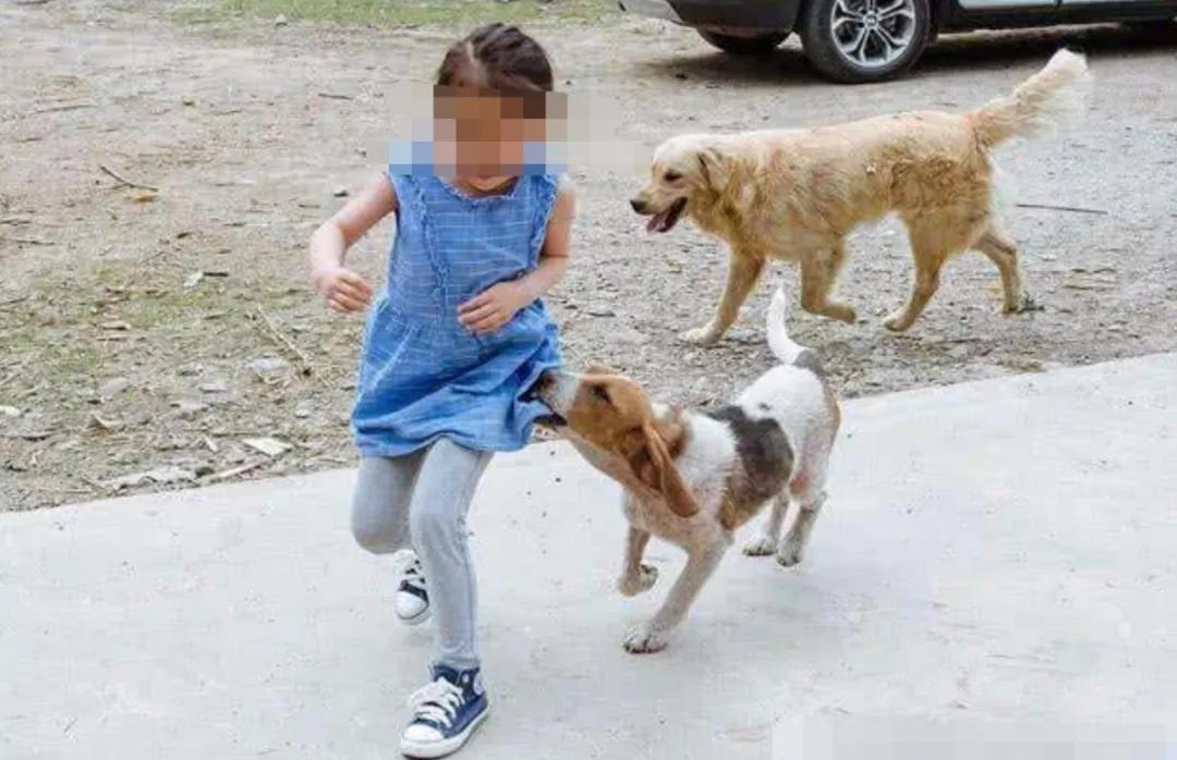 陆丰东海南堤路养狗人不绑狗绳,男子被追全速逃难_小孩