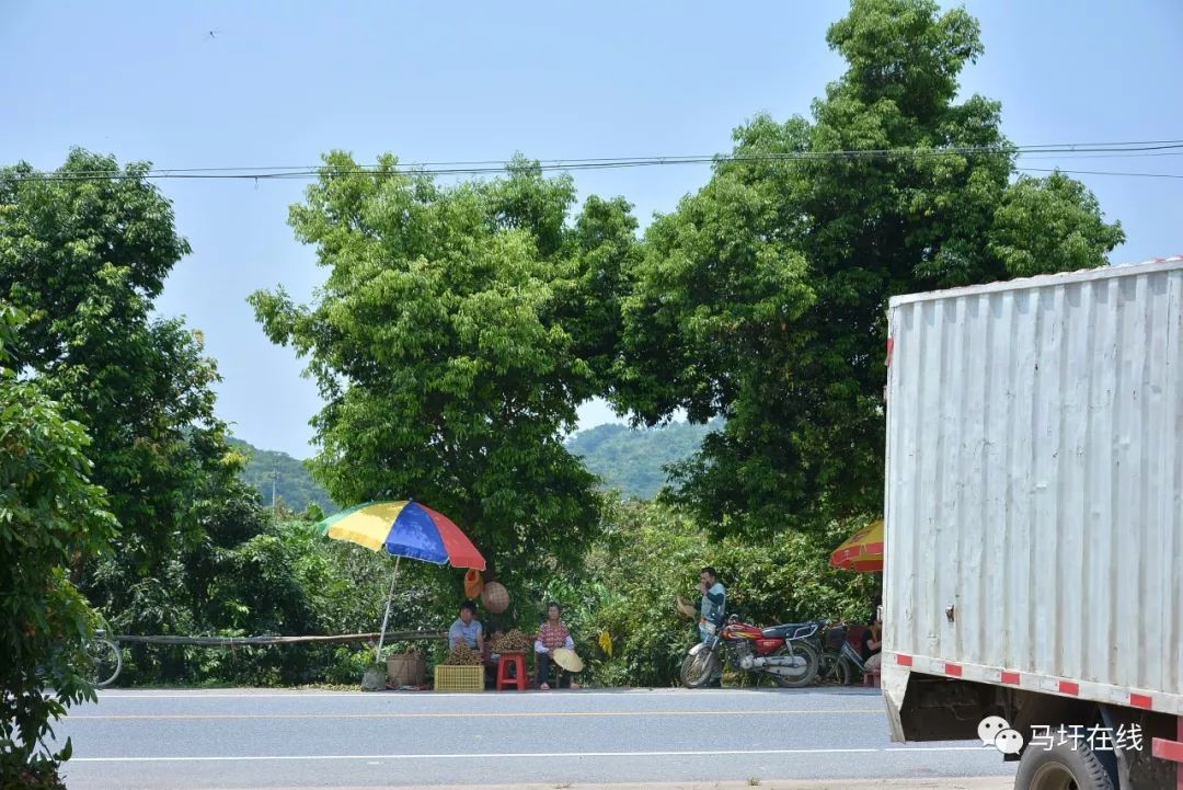 德庆县有多少人口_德庆县香山中学图片(2)