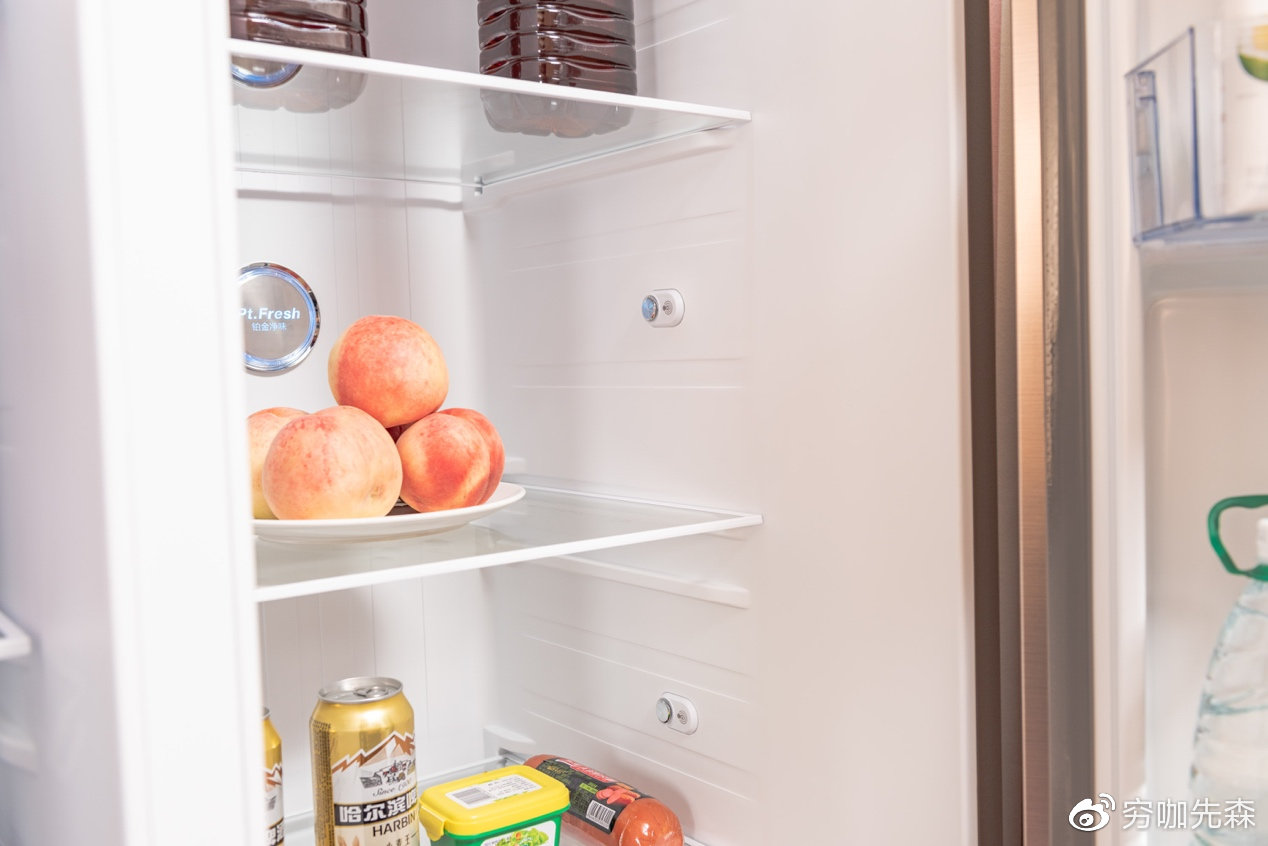 冰箱怎么调温度保鲜 dfb95db46f6e437bb29844633952ca8e.jpeg