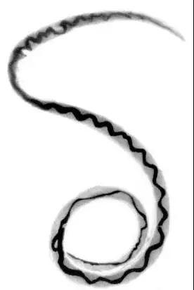 e08342e3cb72491392aa475415f2ffd3.jpeg