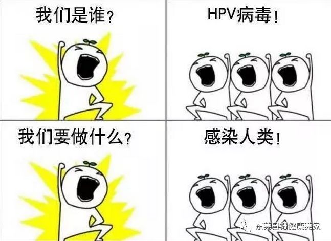 学点医丨男性也可以传播hpv病毒