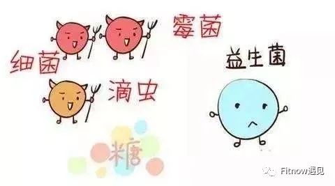 3. 加特纳菌性阴道炎：致病原是加特纳杆菌，可经过性交感染。尤其在性关