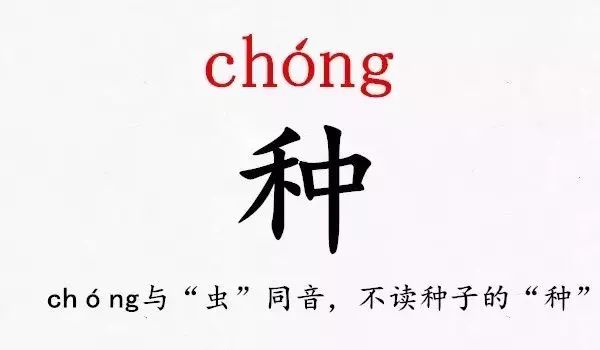 快看！史上最难认的39个姓氏！大多数人都读错了…