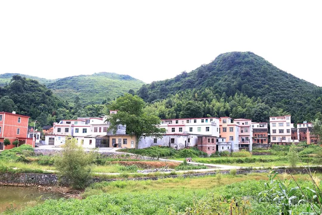 临武县水东镇大冲片区西山村