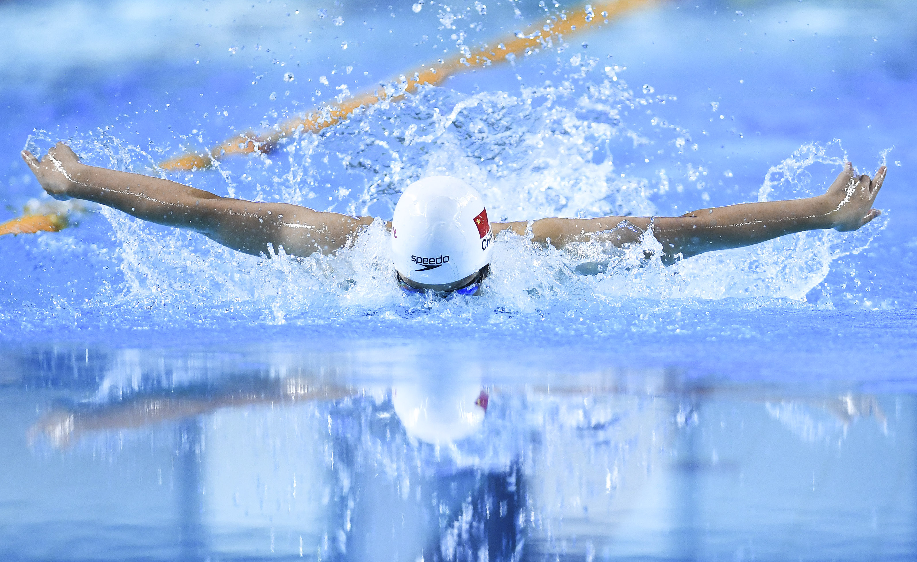 图文-泛太平洋赛菲尔普斯连获两金 标准蝶泳是这样的_综合体育_新浪竞技风暴_新浪网