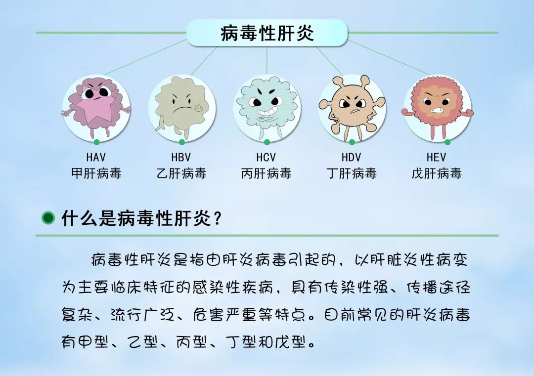 甲型病毒性肝炎(viral hepatitis a)是由甲型肝炎病毒(hepatitis a