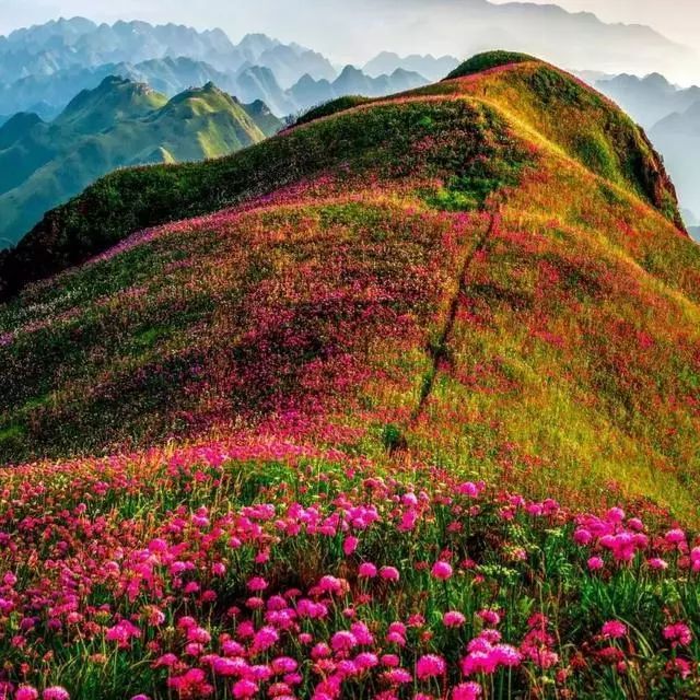 毕节市赫章县兴发乡韭菜坪风景区