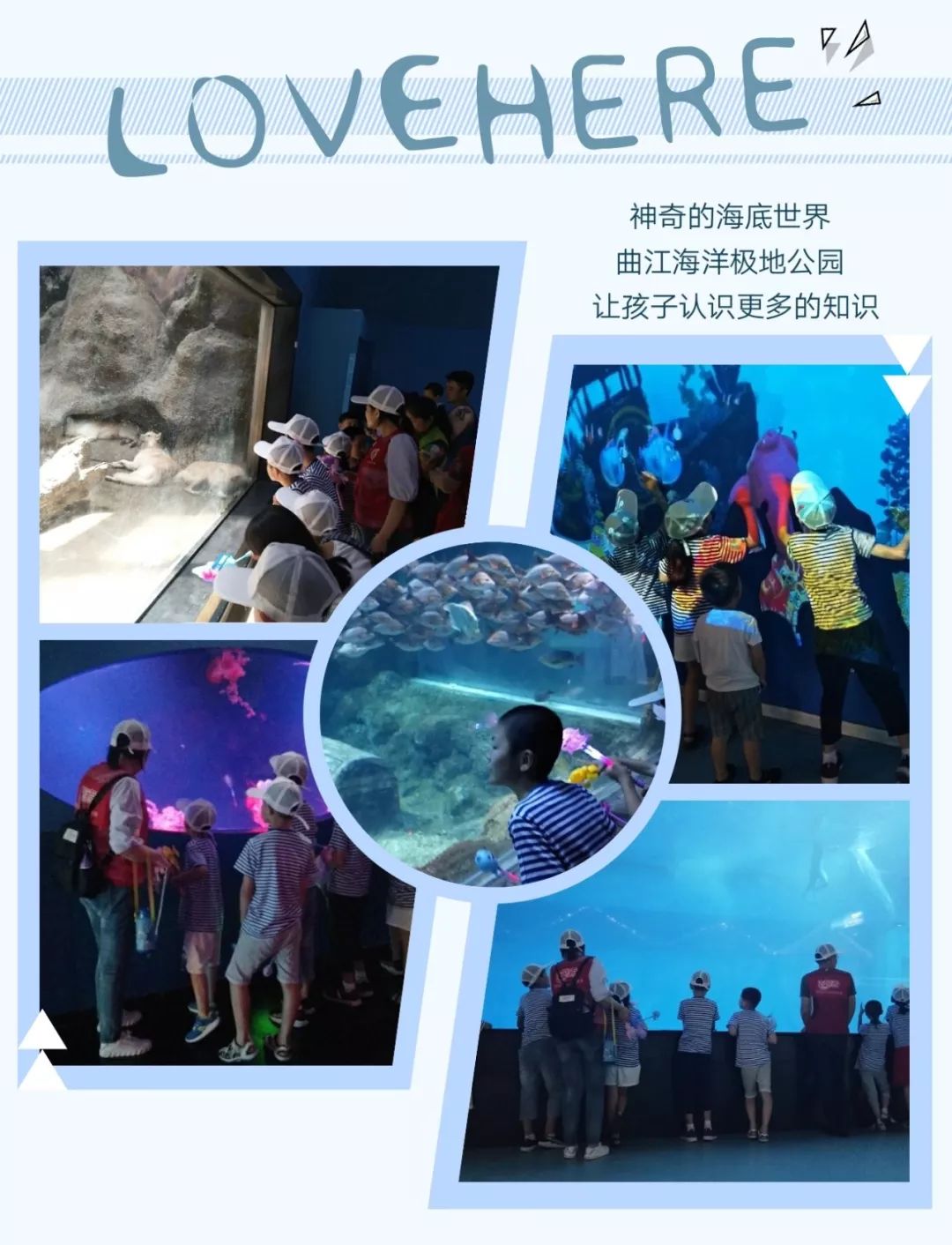 2019曲江海洋极地公园-旅游攻略-门票-地址-问答-游记点评，西安旅游旅游景点推荐-去哪儿攻略