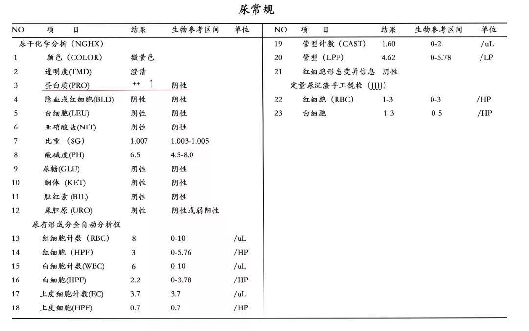 尿蛋白两个加号怎么办