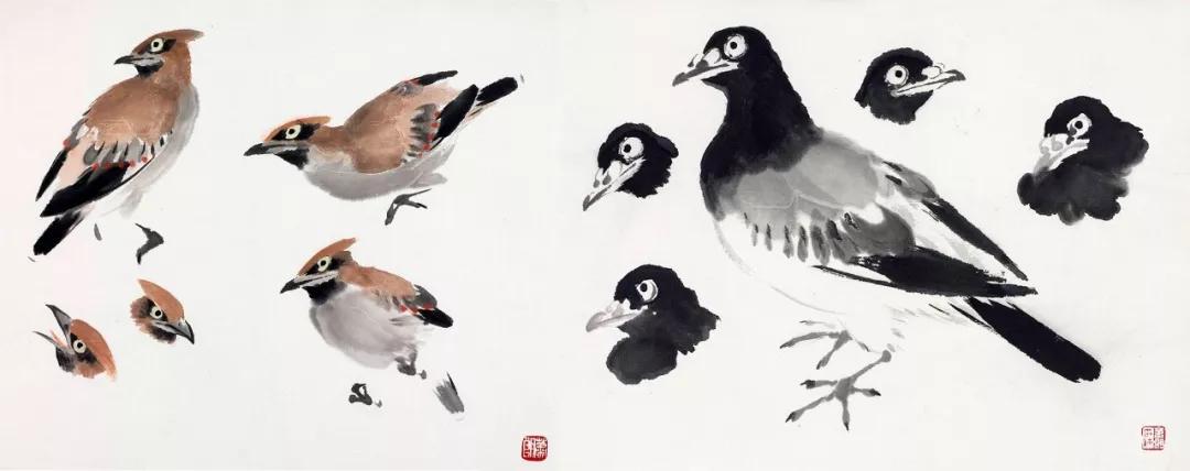 太平鸟,鸽子画法-1995