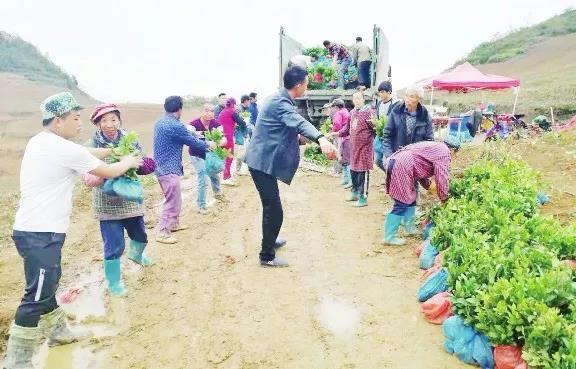 贵州沿河县有多少人口_贵州茅台镇有多少种酒(2)