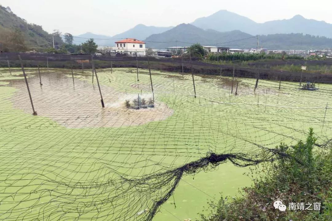 汤坑镇人口_丰顺县汤坑镇风景图片