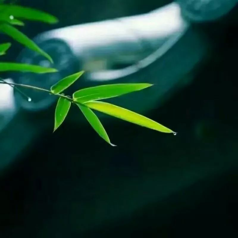【红尘百味】捱到日黄昏,等着风来,等着清凉月
