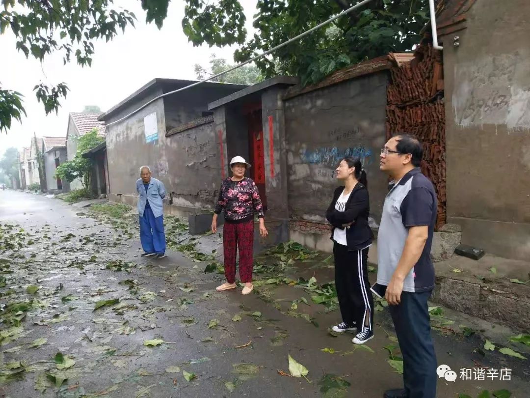 辛店风雨渐远守护不退我们仍在行动