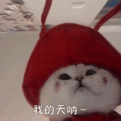 454bcd8d72564495af43cca54e06cd07.gif
