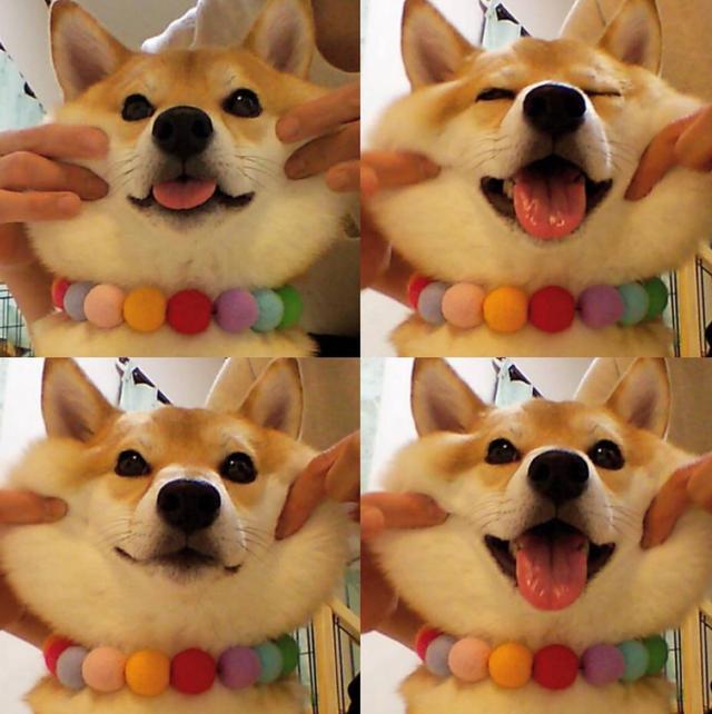 4985d5e0b3854438ad235b8efe39e52b.jpeg