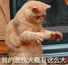                     被迫性早熟的9岁孩子