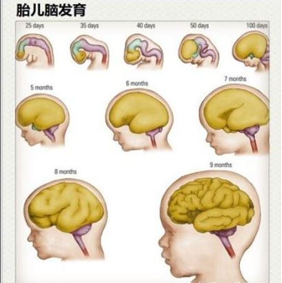                     原创            婴儿出生的2分钟，可能会影响宝宝一生健康！新手妈妈谨记！