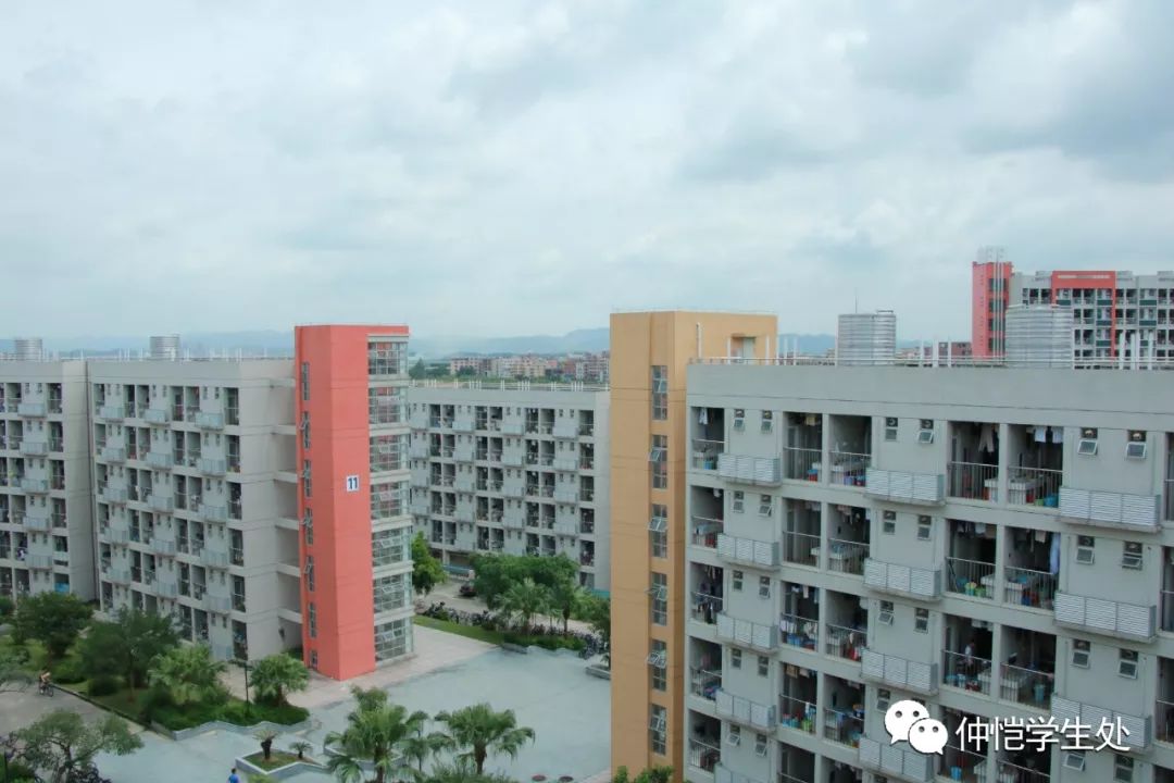 易说仲园·白云校区 建筑篇:林荫深处的邂逅_仲恺