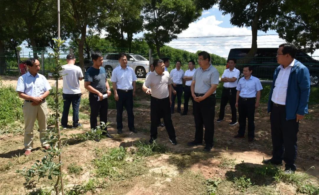 【今日新闻】程建国到旬邑县调研产业扶贫工作_马栏镇