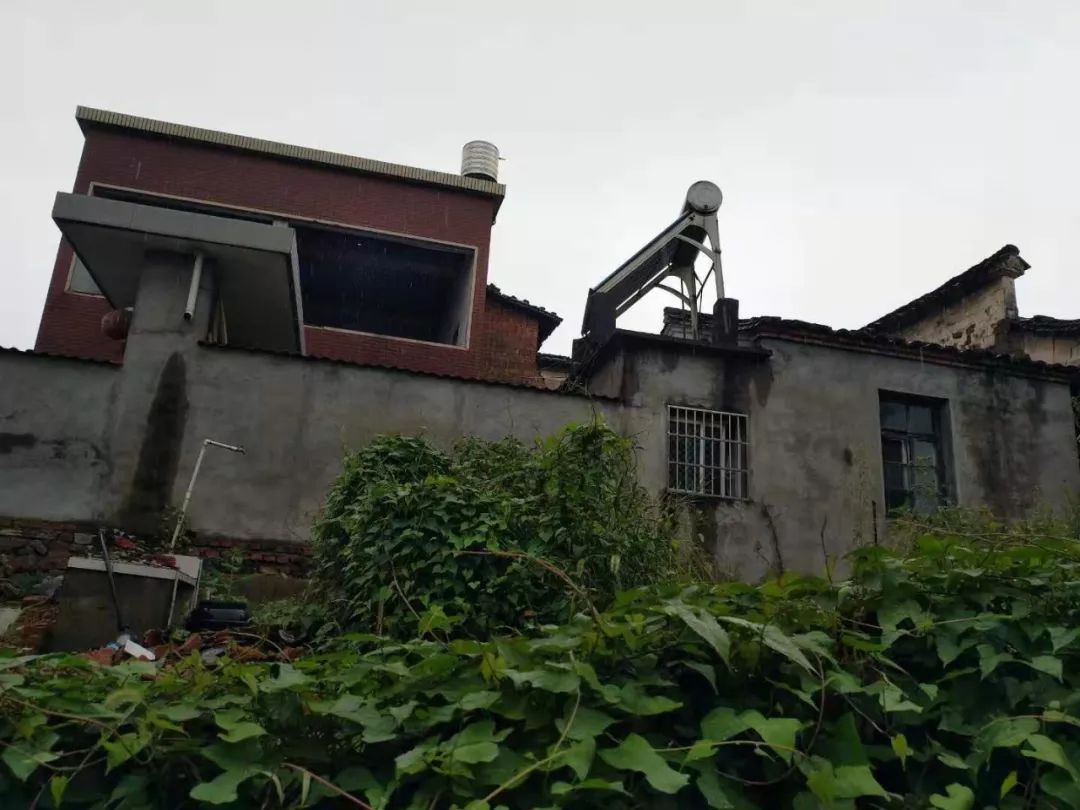 (来源:龙游县塔石镇人民政府 近段时间的集中攻坚,一处处,一幢幢违建