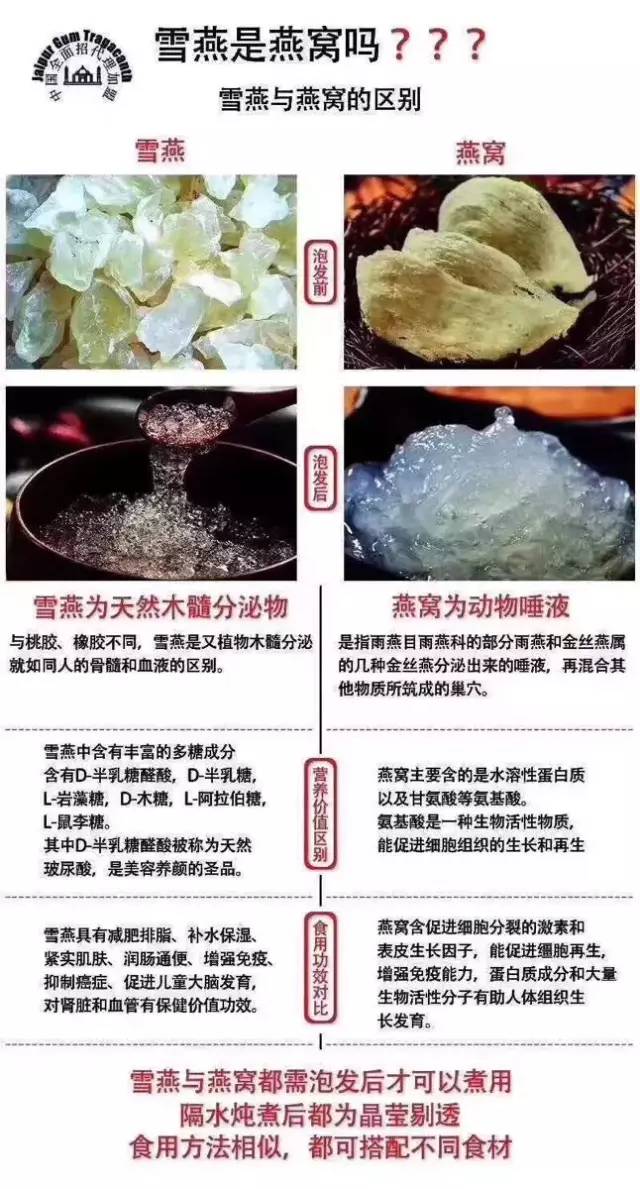 满满植物胶原的雪燕:不是燕窝,更胜燕窝!玻尿酸都是从