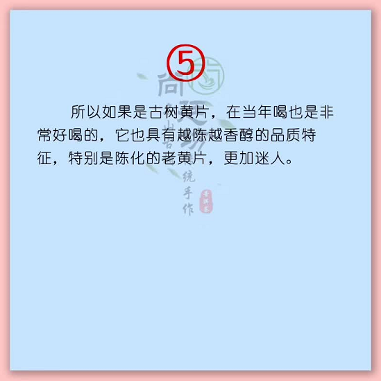 什么是黄金叶 6221ca7c5ac245cead00c74915add875.png
