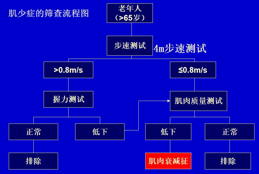 肌肉都去哪了重视老年肌少症