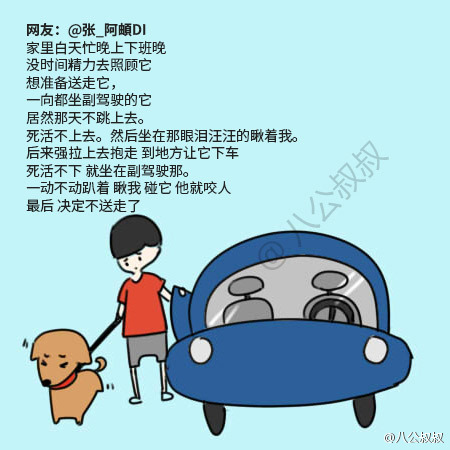 最感动的一件事_泪奔 那些与宠物之间发生的最令人感动一件事