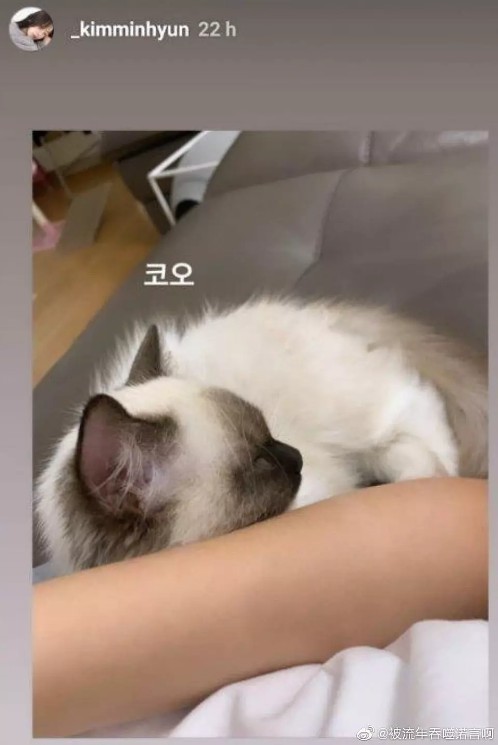 ins关注不了别人了是怎么回事 6a0c36bda385454b8bd8b7cdff57db40.jpeg