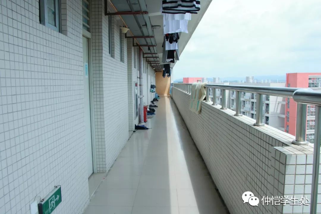 易说仲园·白云校区 建筑篇:林荫深处的邂逅_仲恺