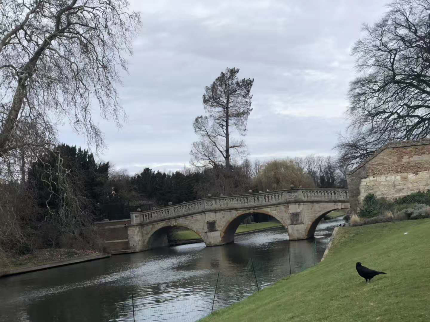 英国萨里人口_英国萨里大学风光