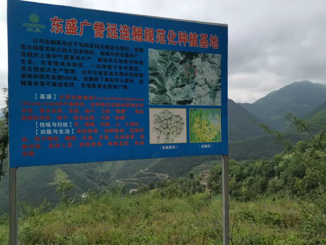 旬阳GDP_旬阳太极城图片(3)